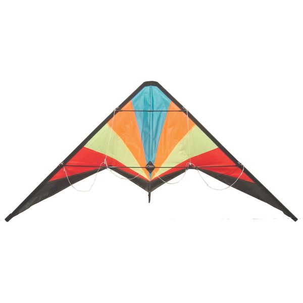 Classic style outdoor Delta sports kite colorfully with common size