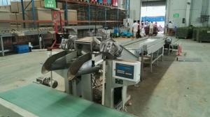 China Onion / Garic Automatic Potato Bagger Plastic Bag Weighing And Filling Machine on sale