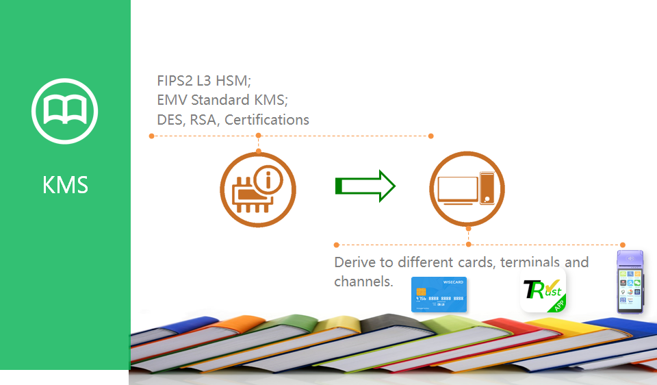 Flexible CMS Card Management System Transaction Switch VISA Card Schemes