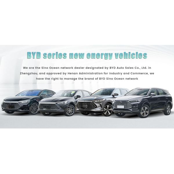 AWD BYD Dolphins EV All Electric Vehicle PHEV Custom