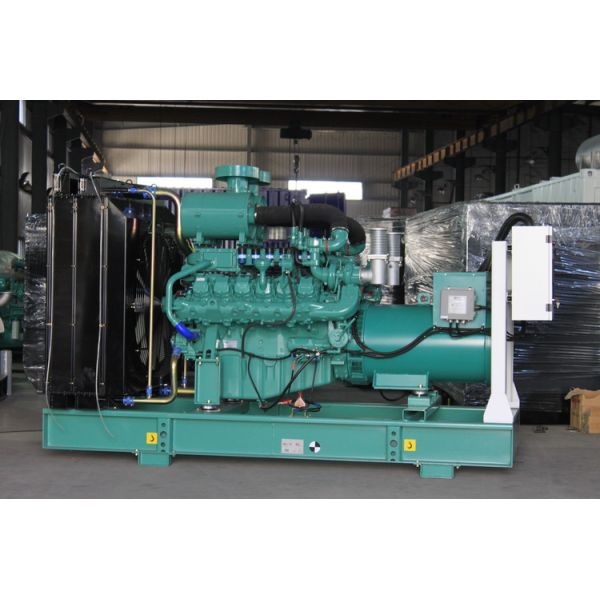 250 Kva Natural Gas Generator Set 230V 3 Phase Portable Diesel Generator 125kw
