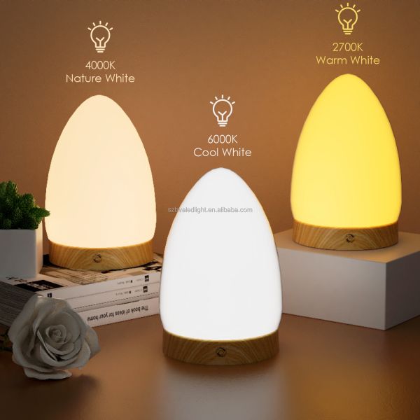 Adjustable Brightness 10000Lux Sunlight Therapy Lamp with Remote Control for Home Use