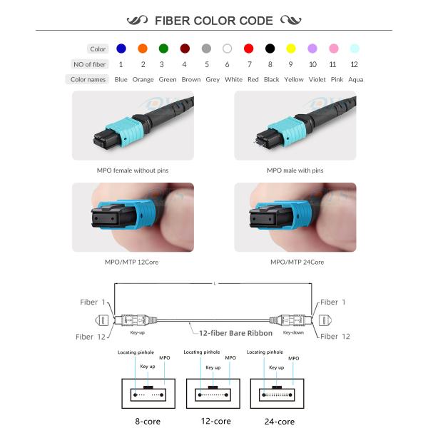 High quality OM3 12 Cores MPO Patch Cord MPO(female)-MPO(female) 3.0mm