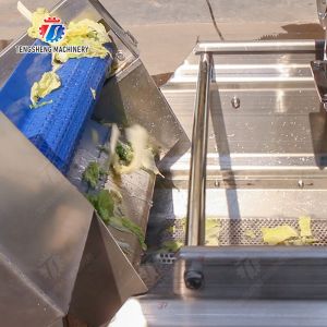 Bubble washing vibration air drying production line Orange Vegetable Herbs Fruit