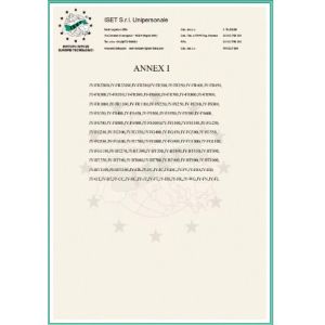 Shanghai Jingyao Industrial Co., Ltd. Certifications