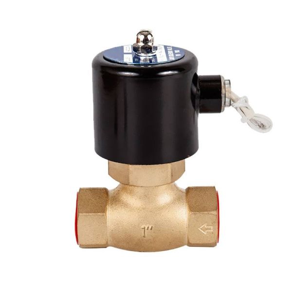 Etrany Custom Boiler Electromagnetically Operated Feed Electromagnetically Operated Valve 2 Way ValveHigh-temperature Steam