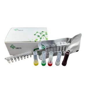 Wholesale Nucleic Acid Detection Shrimp Acute Hepatopancreatic Necrosis Livestock Disease Kit from china suppliers