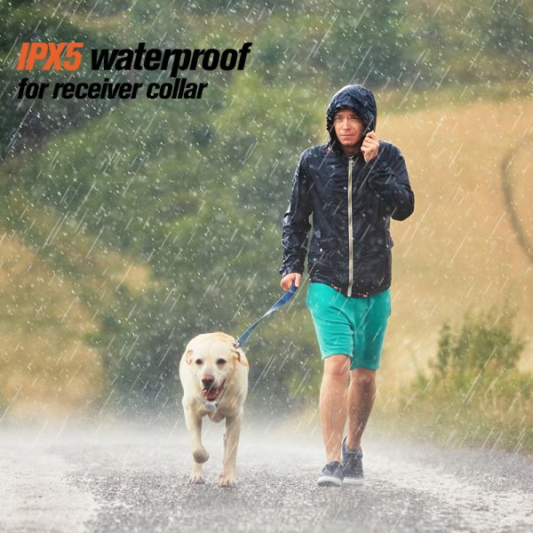 Eco-Friendly Rechargeable IP67 Waterproof ABS Agility Dog Leash Remote Control Spray Pet Training Collar Modern Anti-Bark