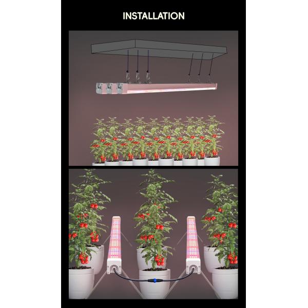Customized Full Spectrum Dimmable 120W 150W 4Ft Grow Light Under Inter Canopy LED for Micro-green