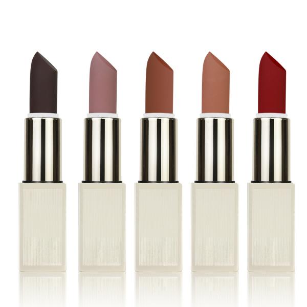 5 Colors Private Label Makeup Lipgloss , Maquillage Lipstick