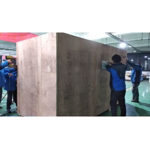 WenYao Peanut Seeds Peony Carrot Watermelon Seeds Color Sorter Machine Seed