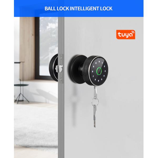 Round Handle Biometric Smart Lock Smart Fingerprint Door Lock With Tuya App