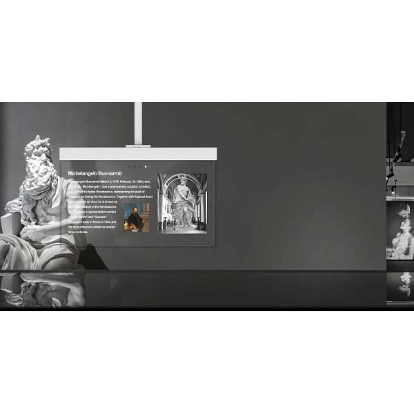 55-inch OLED Transparent Screen-hanging Model 1920*1080 Resolution 400 Nits Oled Transparent Oled Panel
