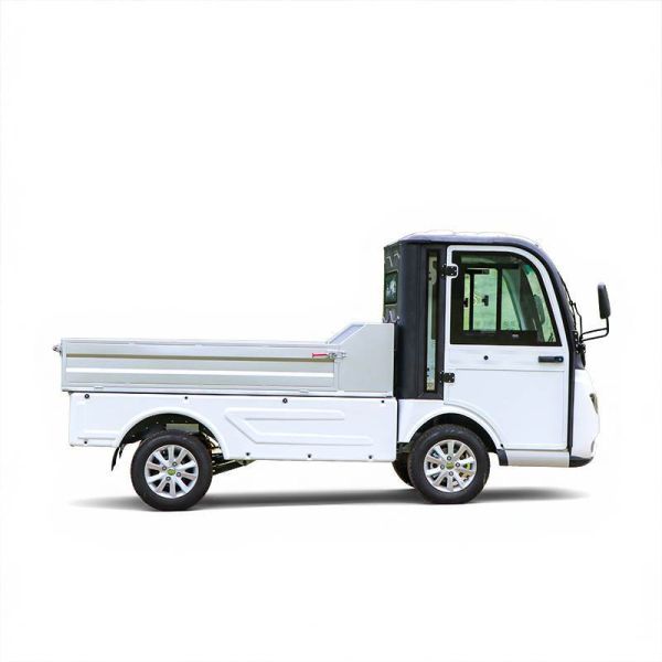 Electric Vehicle with Cargo for 2 Passengers Loading Goods