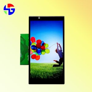 Wholesale Resolution 720x1280 Custom TFT Display 5.5 Inch MIPI Interface 30PIN from china suppliers