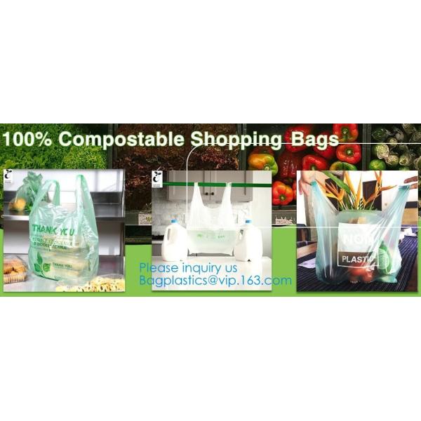 Edible 100% Fully Compostable Biodegradable Organic Corn Starch Enviroment PLA Biodegradable Disposable Recyclable pac