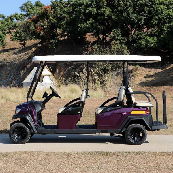 48V 4+2 Passenger Rugged Ride Hunting Golf Car