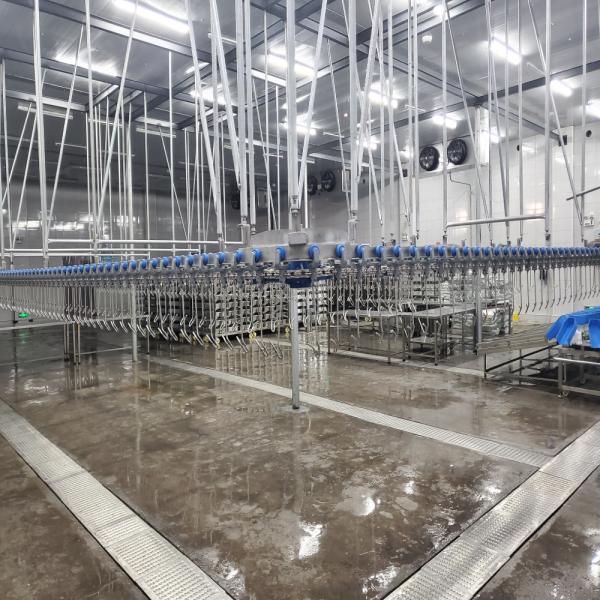 Streamlined Semi Auto Slaughter Machine Small Scale Poultry Processing Equipment