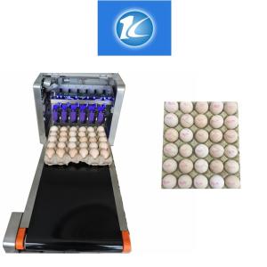 Computer Control Date Coding Printer With Special Shuttle Transmission Device