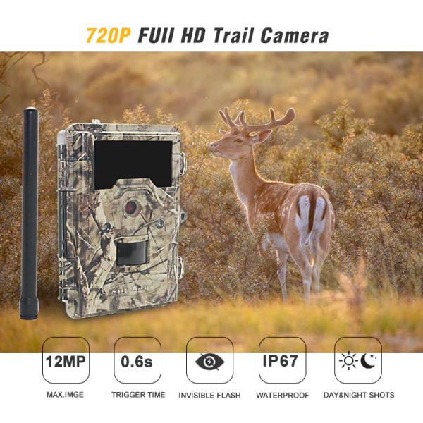 Night Vision 3G Trail Camera 720P Full HD With Waterproof Appearance