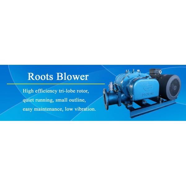Pneumatic Conveying Roots Rotary Blower With Less Pressure Variation