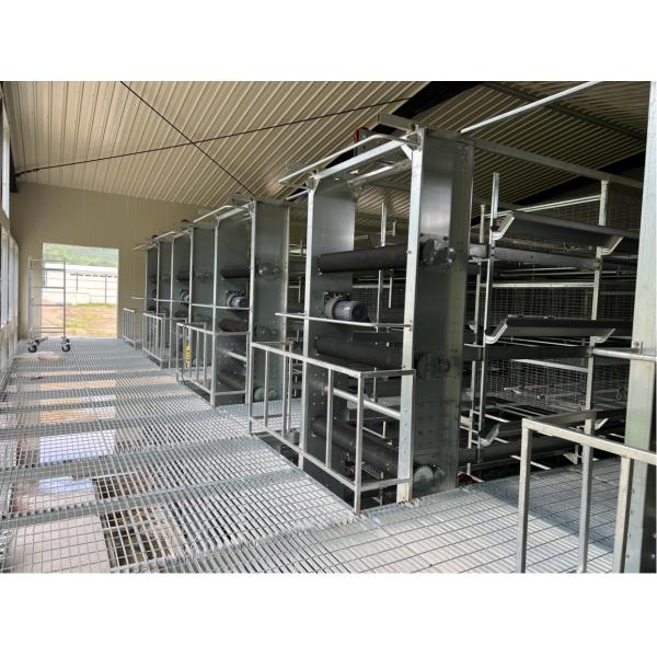 6-12 Tiers Layer Chicken Cage System Hot-dip galvanized Pedestrian net