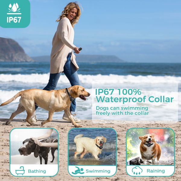 Long Range Smart Dog Training Collar Anti-Bark Remote Control IPX7 Waterproof Rechargeable Eco-Friendly Cute Fashion Plastic