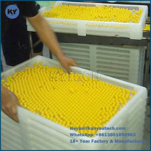 Wholesale Food Grade Softgel Drying Trays from china suppliers
