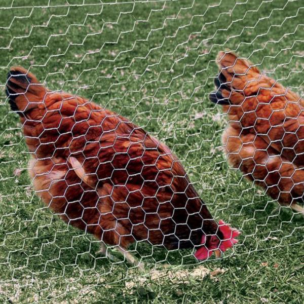 Galvanized Expanded Metal Wire Mesh , Hexagonal Chicken Wire Mesh PVC Coated