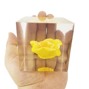 Wholesale custom cube brick resin paper weight with inclusion embeddings from china suppliers