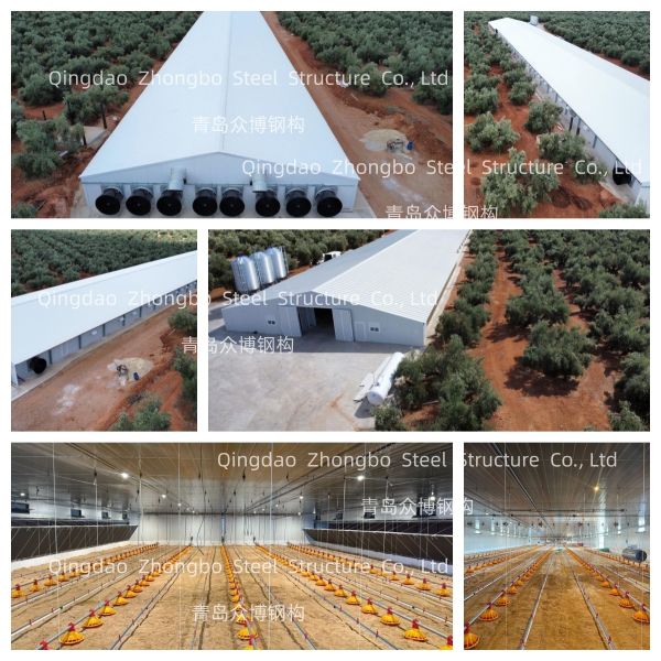 Customizable Prefabricated Steel Structure Poultry House with Robust Structural Design for Chicken Farming