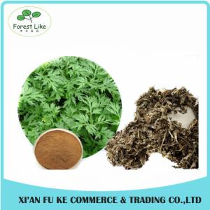 China Chinese Herb Extract Mugwort Leaf Extract 5:1- 20:1 on sale