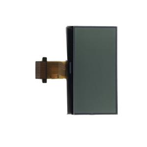 Positive FSTN 16064 Graphic Mono Lcd with White backlight Customized