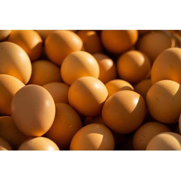 auto SS Egg Breaking And Separating Machine Uniform Beating 3000pcs/H Egg Cracking Machine