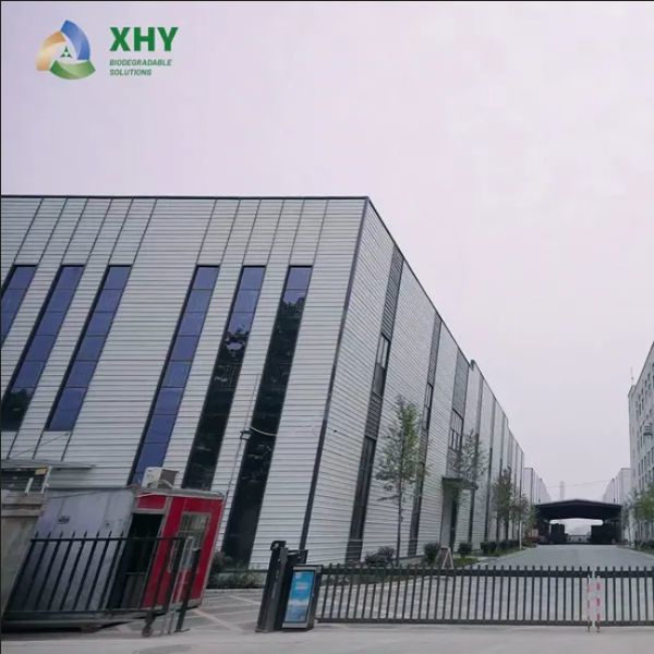 Customize Logo Factory Printed and Die-cutting Single-side or Double-side PE Coated Paper Roll