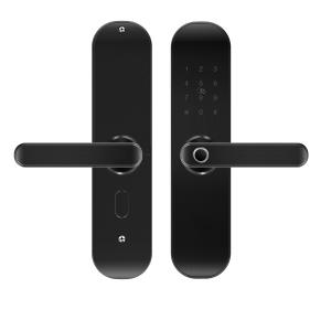 Wholesale CE 2.4GHz Commercial Wifi Door Lock With Handle Zigbee Touch Keypad from china suppliers
