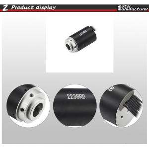Faradyi Customized Motor High Speed 12V 30V 22mm 10000Rpm Silent Brushless Bldc