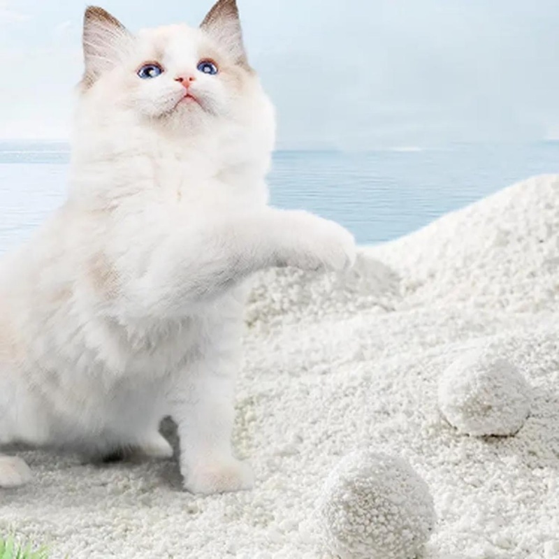 Organic Cassava Cat Litter Solution with Natural Ingredients and Efficient Moisture Locking Technology