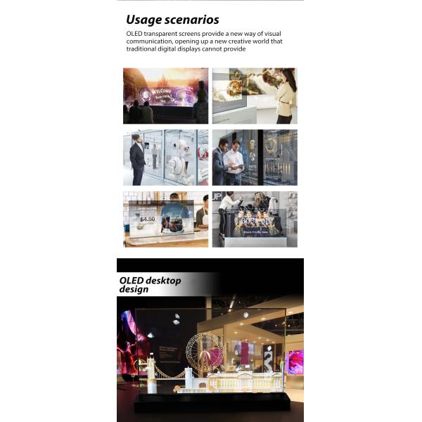 OEM ODM Transparent OLED Screen , 55 Transparent OLED Display