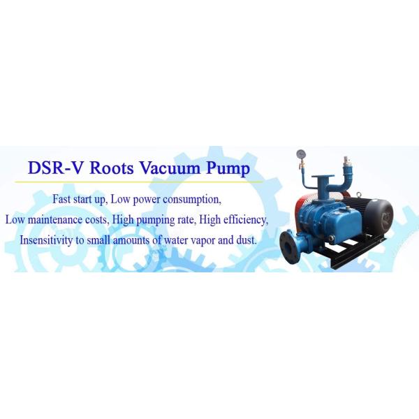 Negative Pressure Vacuum Roots Blower / Small Volume Vacuum Air Blower
