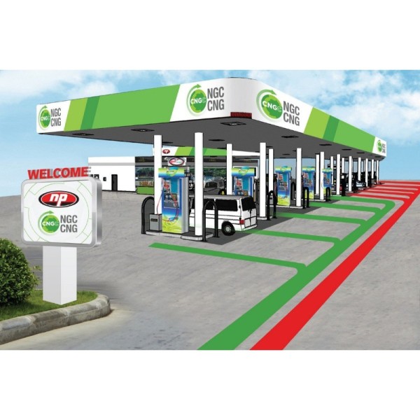Antistatic CNG Hose High Pressure 5000psi with Excellent Flexibility