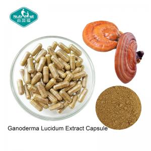 Wholesale Ganoderma Lucidum Reishi Mushroom Capsules with Vegetarian Capsule for Healthy Heart from china suppliers