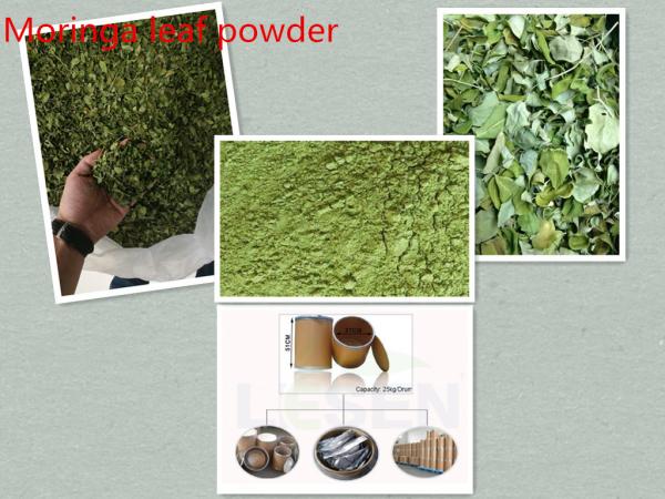 Quality 100% Pure & High quality Moringa leaf powder;Organic Moringa seed powder; for sale