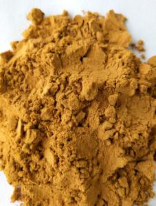 China Chinese Herb Polygonum Multiflorum He Shou Wu Foti Root Extract 10% powder on sale