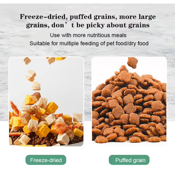 Smart WIFI Automatic Pet Feeder Solid Pattern Stainless Steel Mobile Phone Remote Control Via APP New Dual Chargeable Plastic