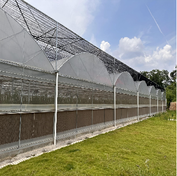 Customizable Multi Span Greenhouse For Tomato Plants Growing