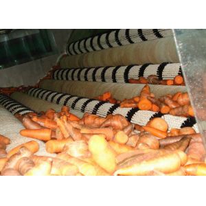 Wholesale Industrial Carrot Processing Plant / Stable Carrot Processing Equipment from china suppliers