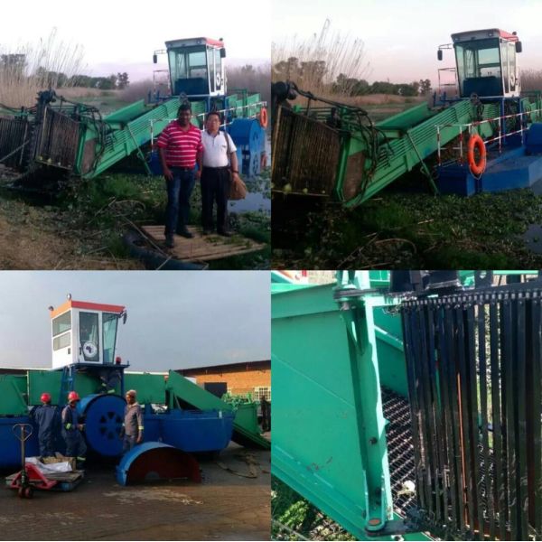 KEDA Full Automatic Aquatic Weed Harvester with 30 - 50 HP and 2 Rows for Efficient Water Hyacinth Harvesting