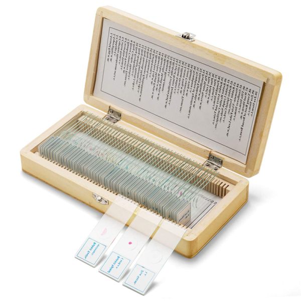 Fixed Set 50 Kinds Human Pathology Microscope Prepared Slides for Educational Supplies