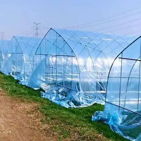 Transparent Plastic Mulch Film Agriculture 2-20m Width Allowing Maximum Light Transmission